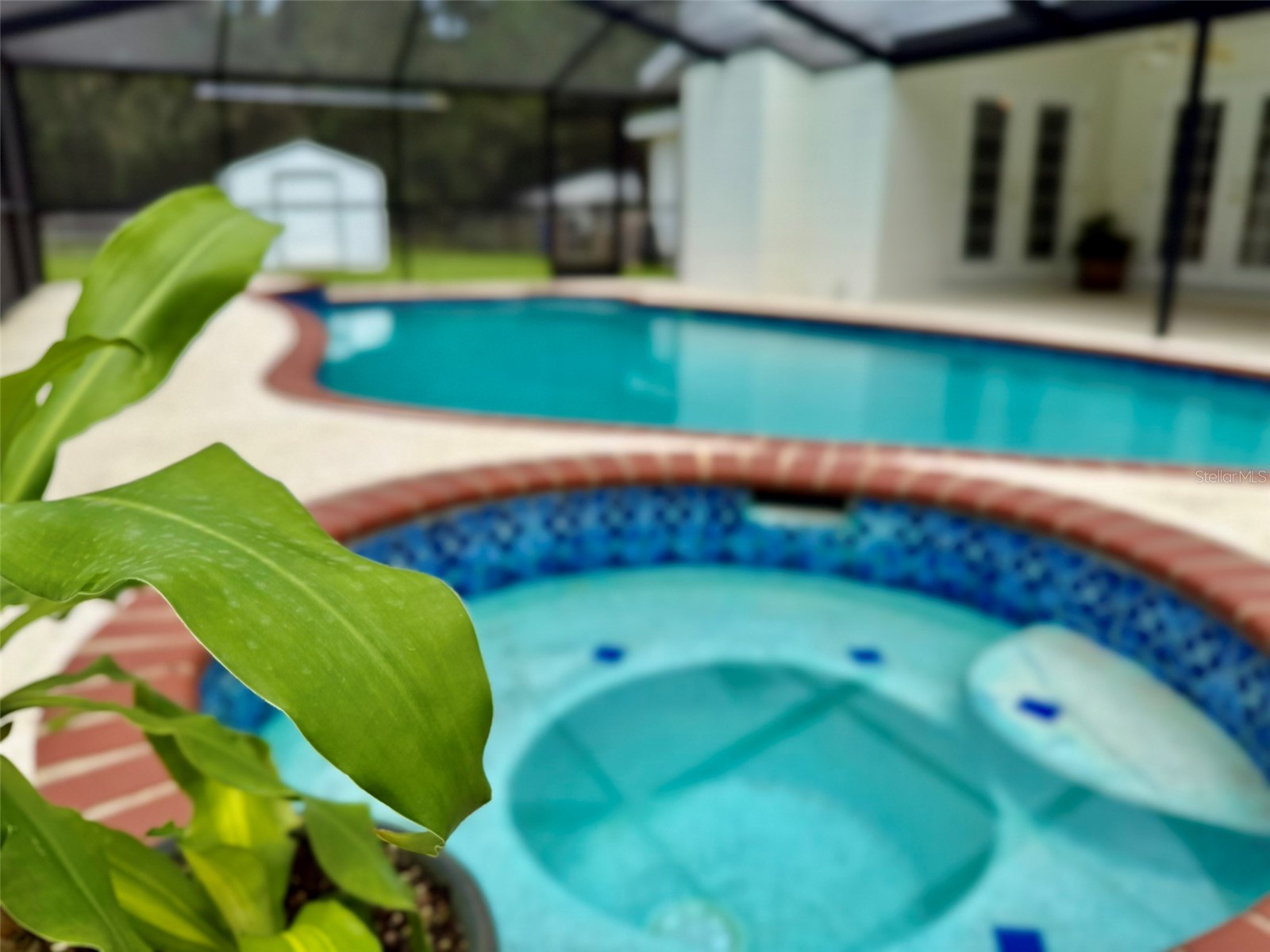11215 Russell Drive Seffner FL 33584 TB8529334 image81