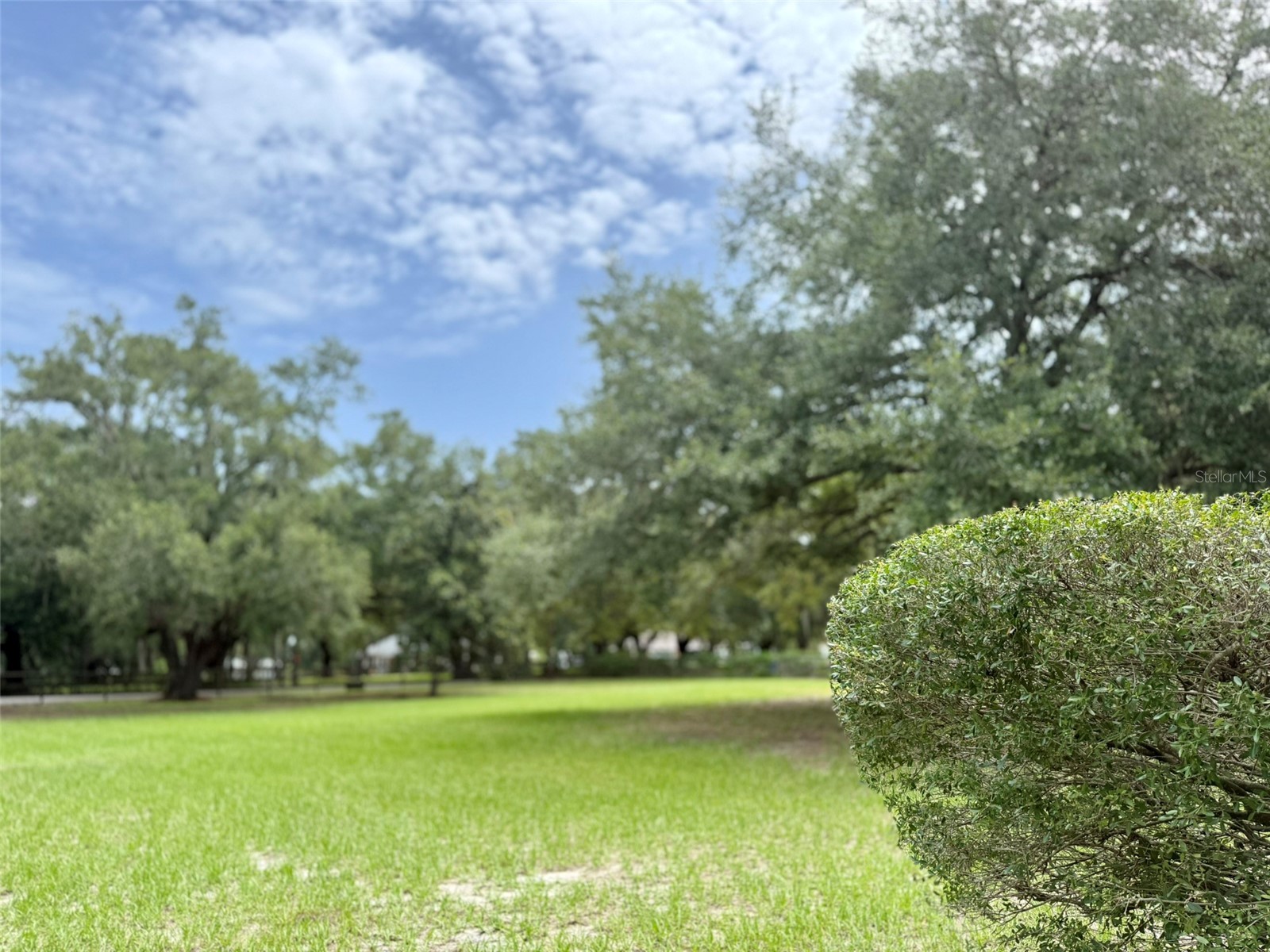 11215 Russell Drive Seffner FL 33584 TB8529334 image83