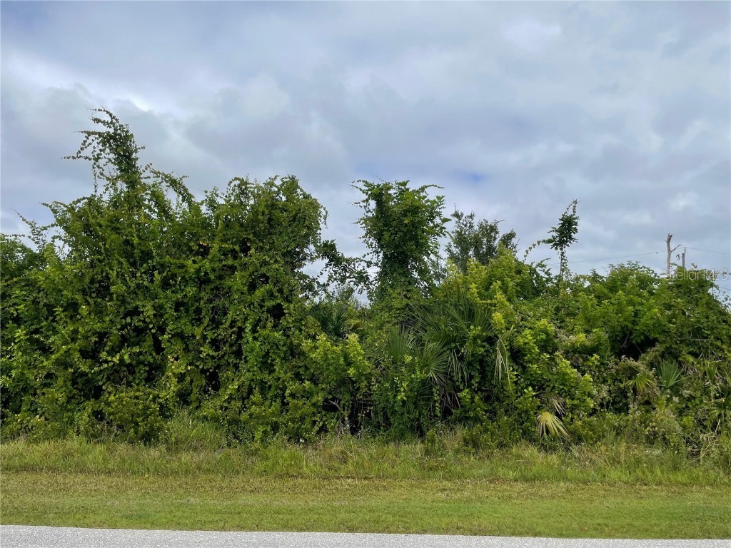 11216 Carnegie Avenue Englewood FL 34224 A4668572 image1