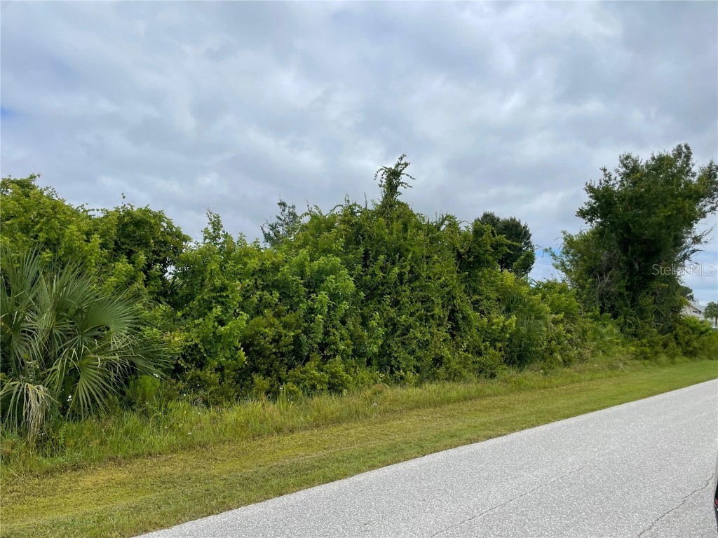 11216 Carnegie Avenue Englewood FL 34224 A4668572 image2