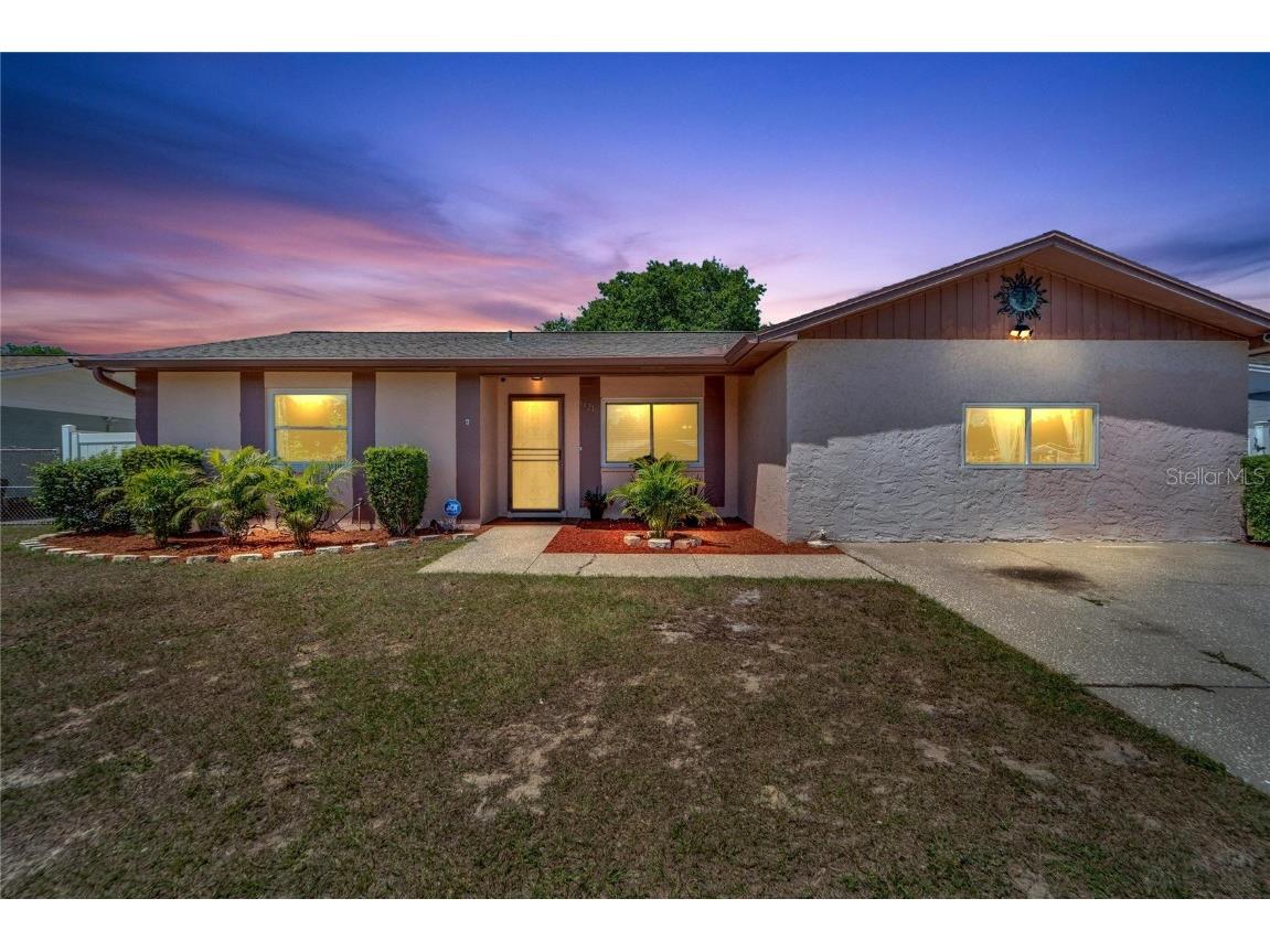 11216 Garfield Court Seffner FL 33584 T3519297 image1