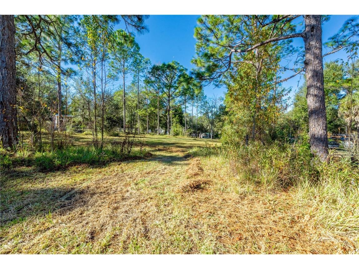 11216 NE 63rd Place Williston FL 32696 GC536017 image6