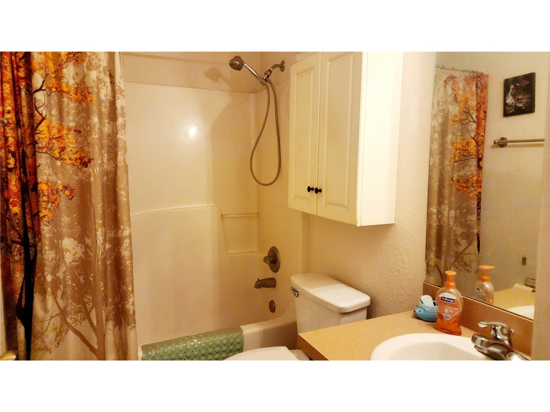 11216 NW 8th Lane Ocala FL 34482 OM716599 image6