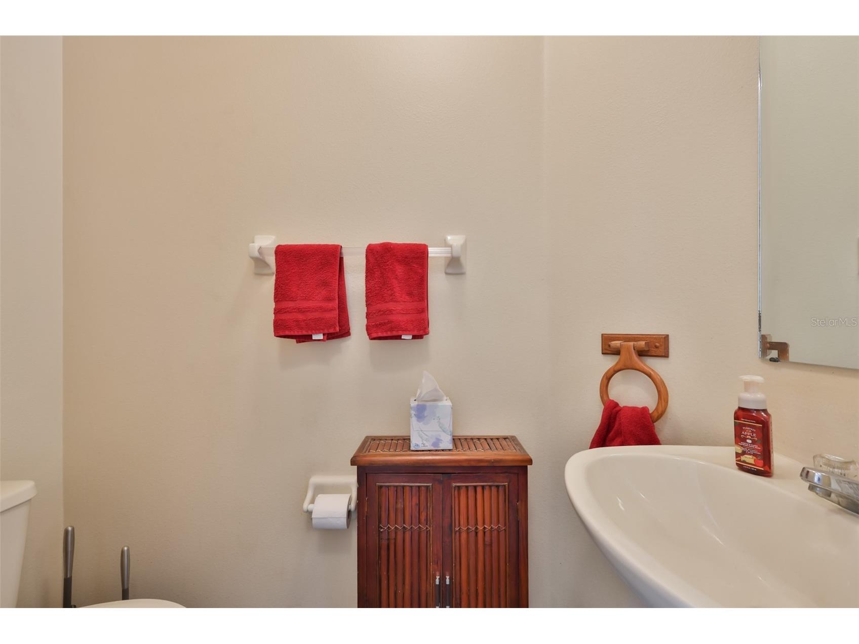 11216 Scotchwood Drive Riverview FL 33579 TB8504021 image11