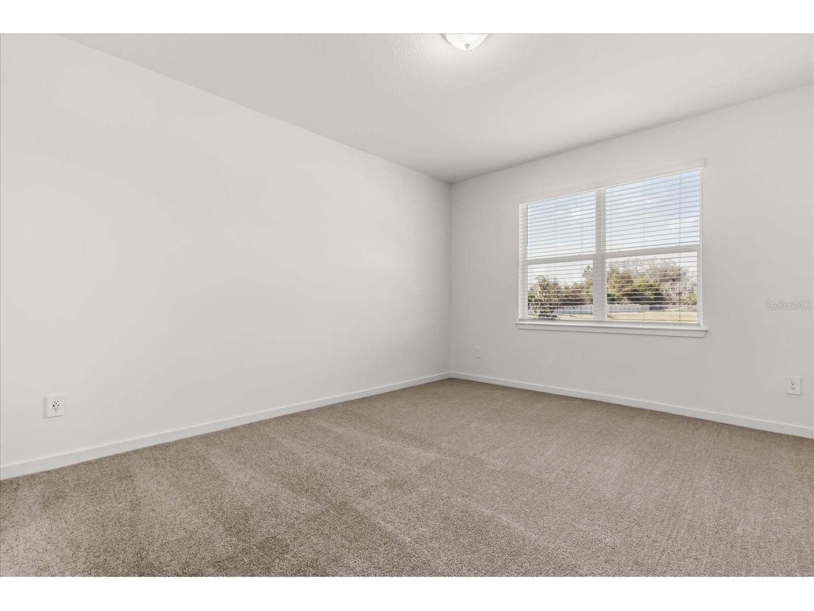 11216 Sycamore Glen Loop Thonotosassa FL 33592 TB8479334 image17