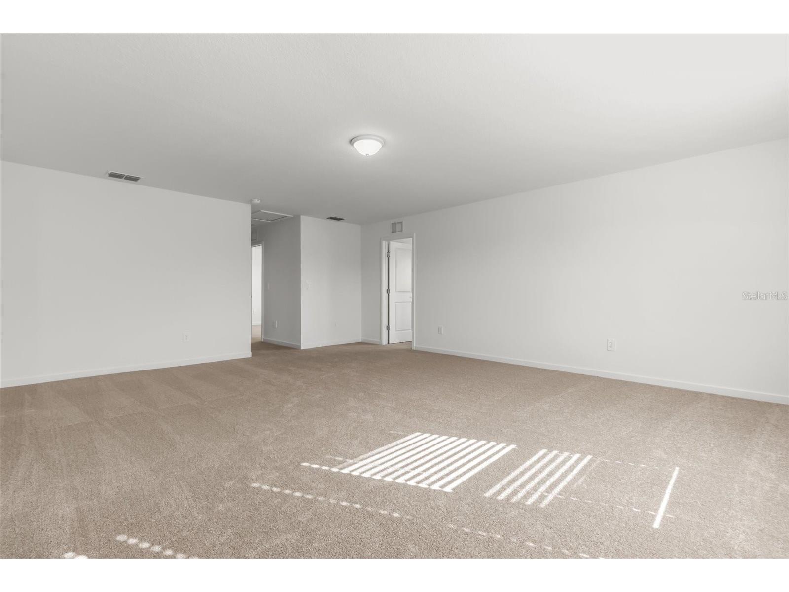 11216 Sycamore Glen Loop Thonotosassa FL 33592 TB8479334 image21