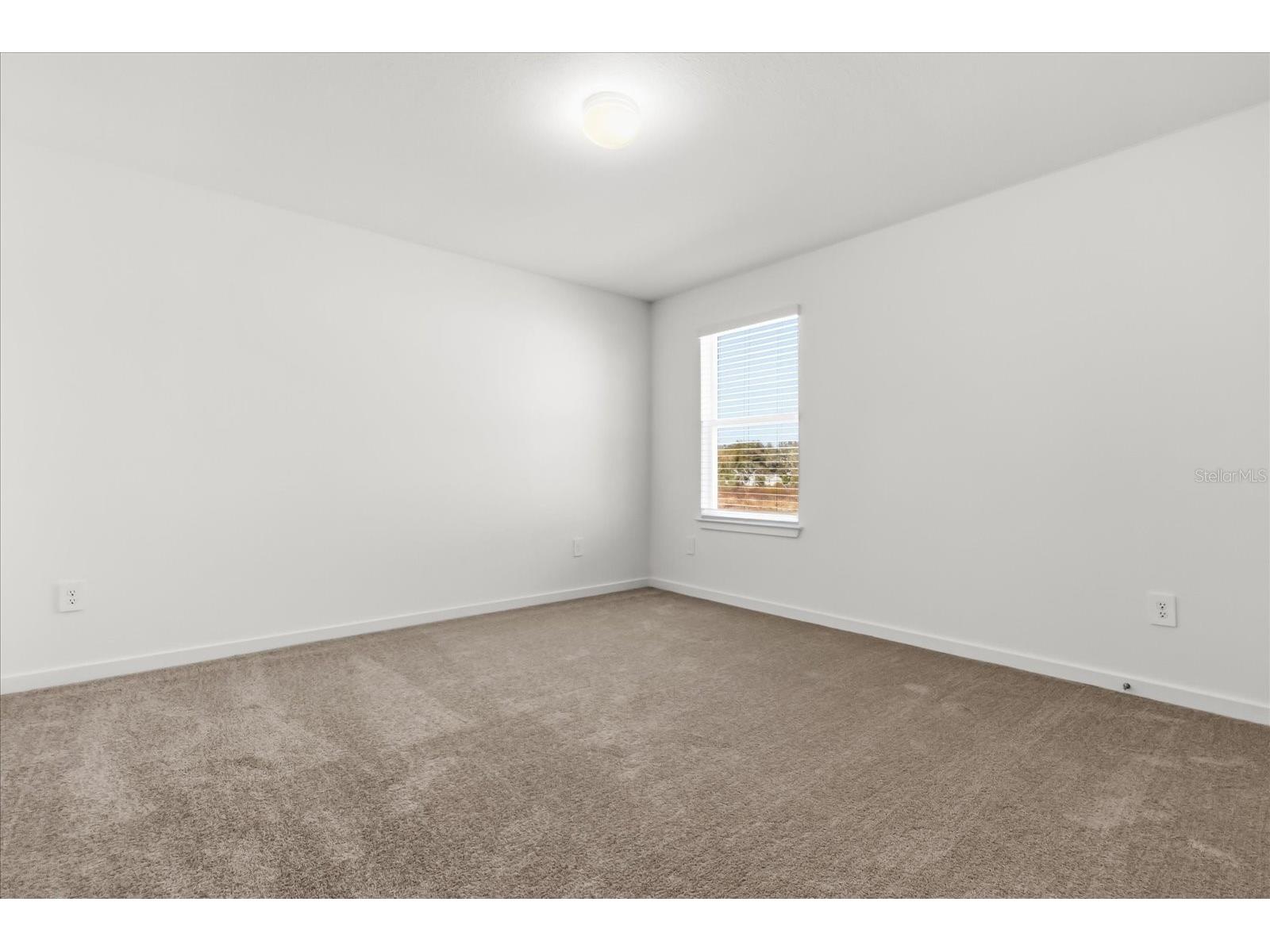 11216 Sycamore Glen Loop Thonotosassa FL 33592 TB8479334 image27
