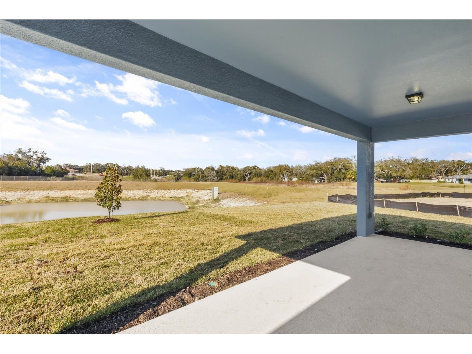 11216 Sycamore Glen Loop Thonotosassa FL 33592 TB8479334 image32