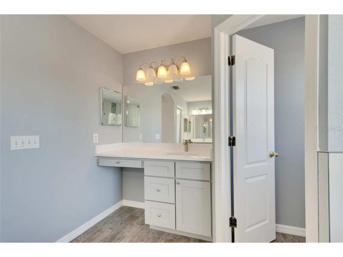 11217 Avery Oaks Drive Tampa FL 33625 TB8323877 image41