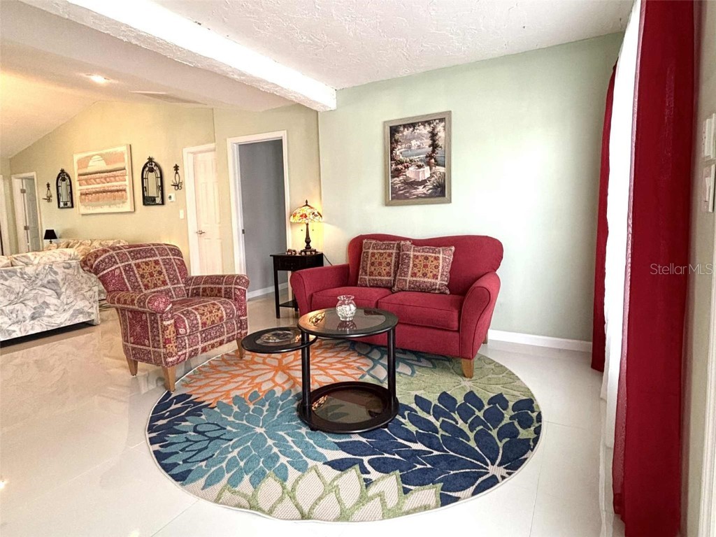 11217 Fiddlewood Drive Riverview FL 33579 TB8387030 image3