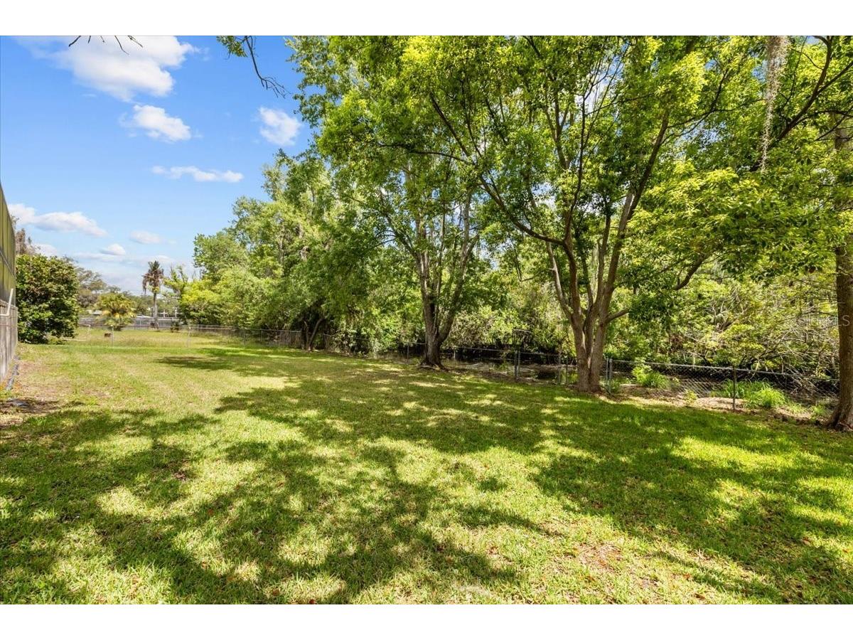 11218 Creekview Drive Riverview FL 33569 TB8492164 image43