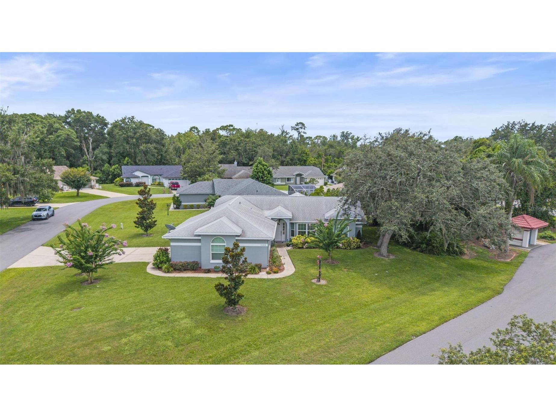 11218 Fountain Lake Boulevard Leesburg FL 34788 G5110917 image1