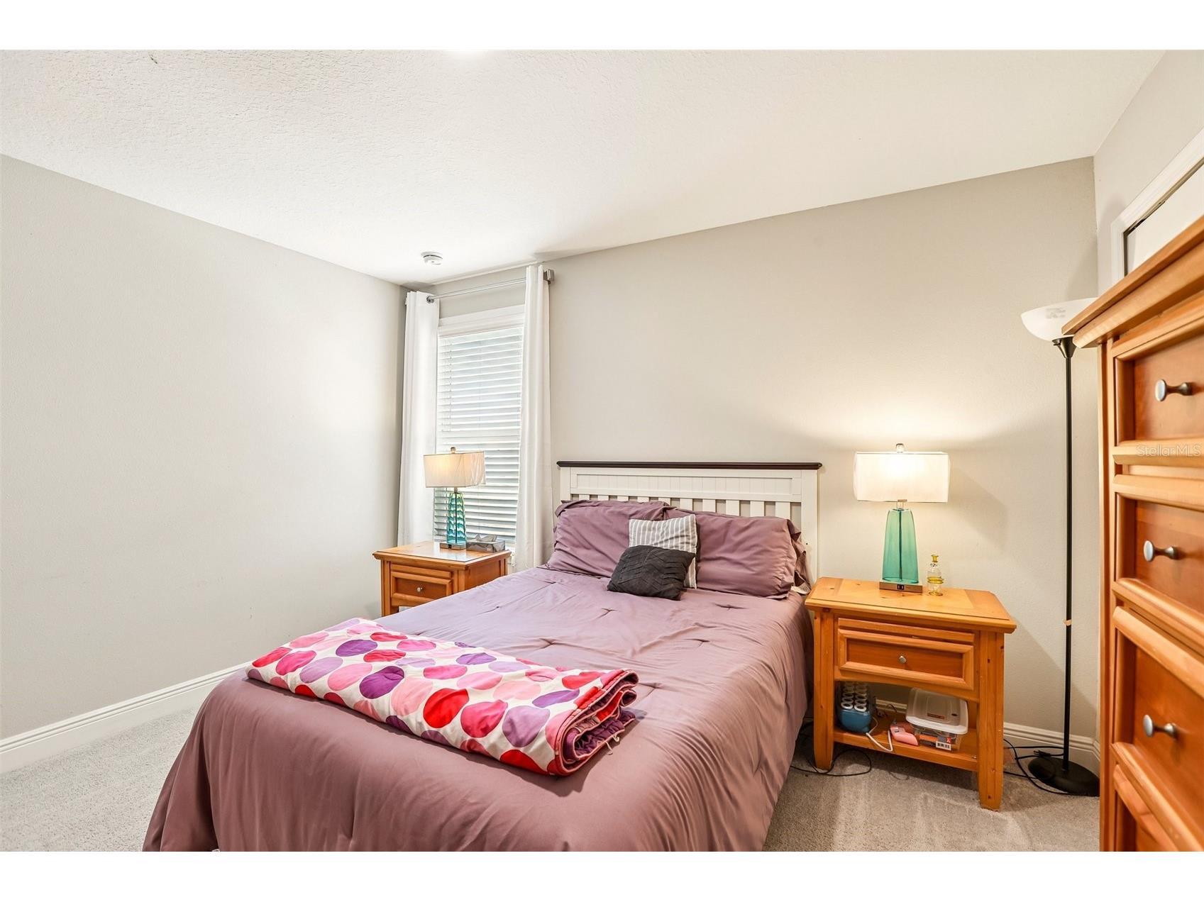 11218 June Briar Loop San Antonio FL 33576 TB8479739 image23