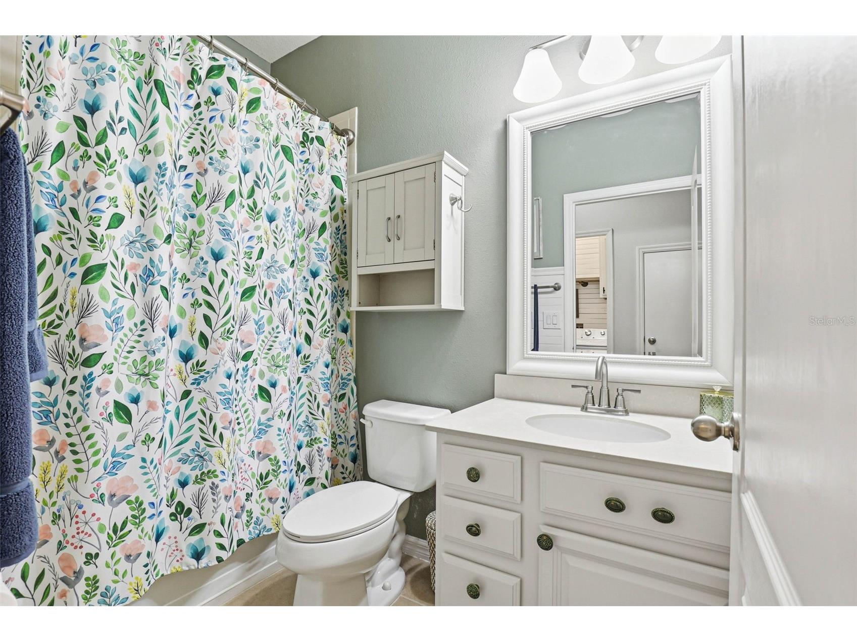 11218 Spring Point Circle Riverview FL 33579 TB8496174 image33