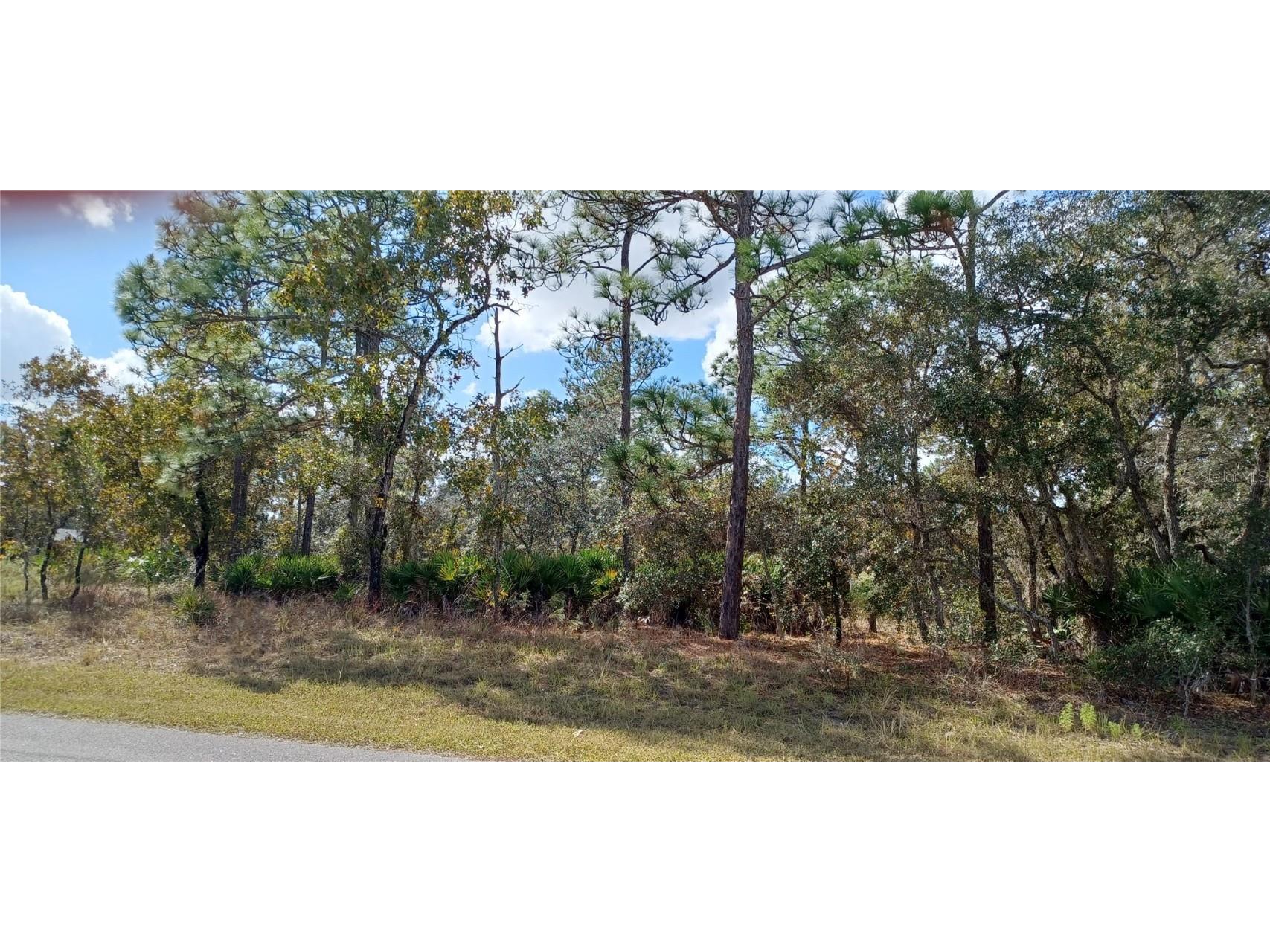 11219 Liberto Road Weeki Wachee FL 34614 U8181048 image1