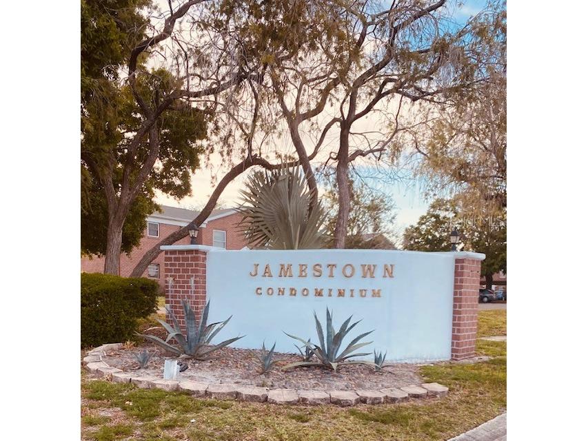 1122 84th Terrace N #D Saint Petersburg FL 33702 U8240121 image1