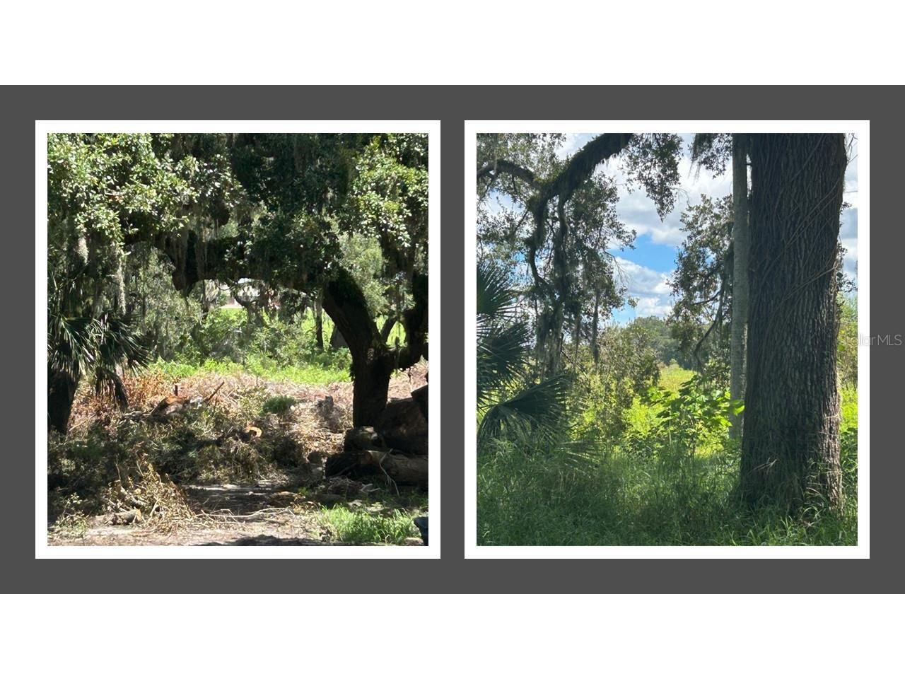 1122 Darity Street Apopka FL 32703 O6338394 image1