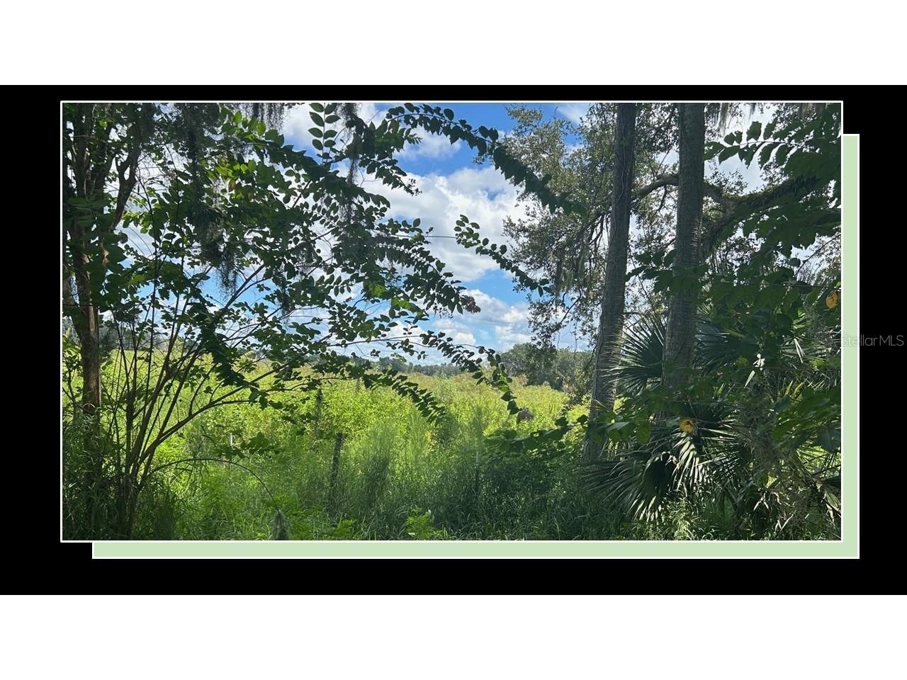 1122 Darity Street Apopka FL 32703 O6338394 image2