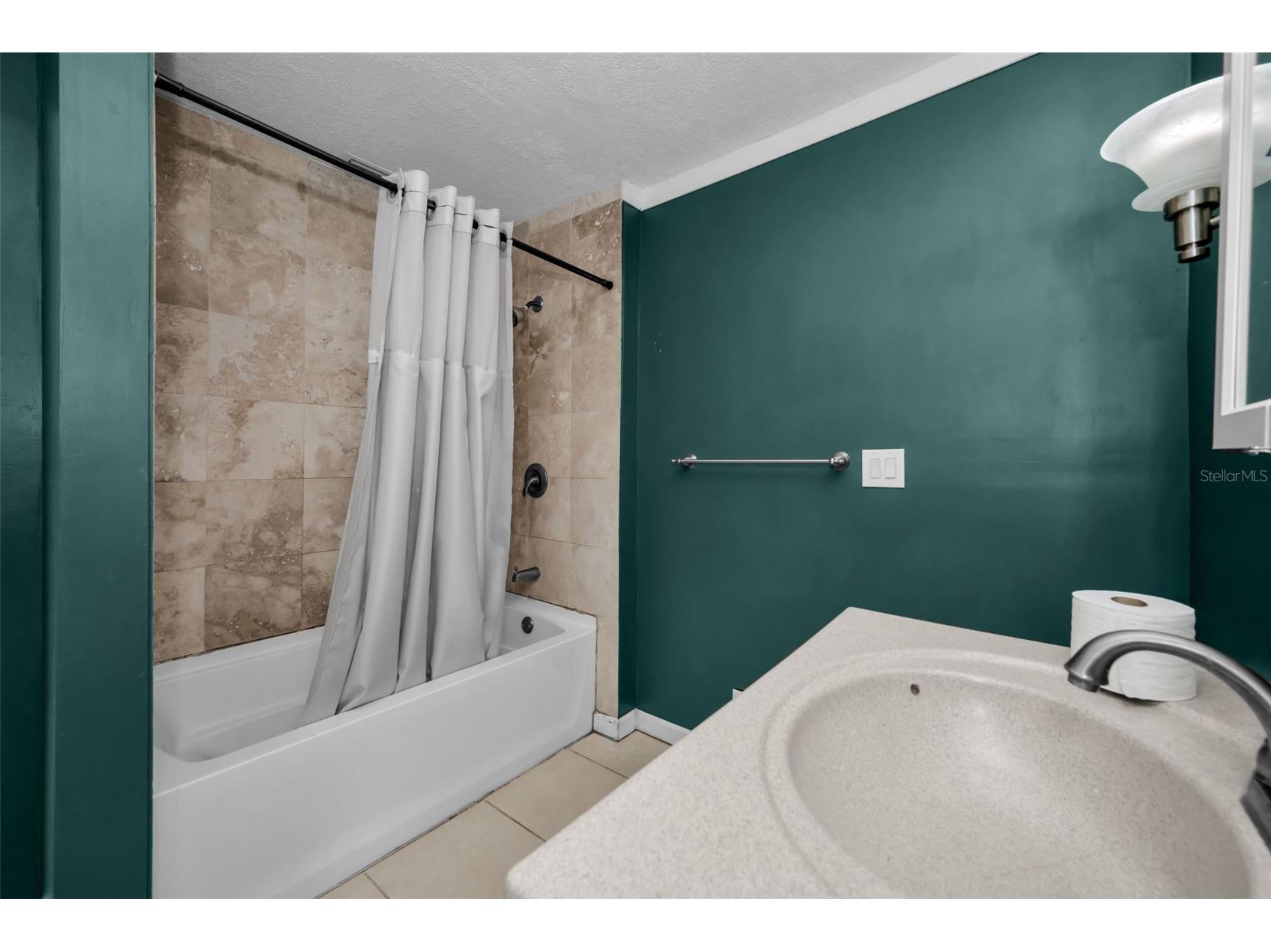 1122 E Oakwood Street Tarpon Springs FL 34689 - LAKE TARPON TB8465999 image15