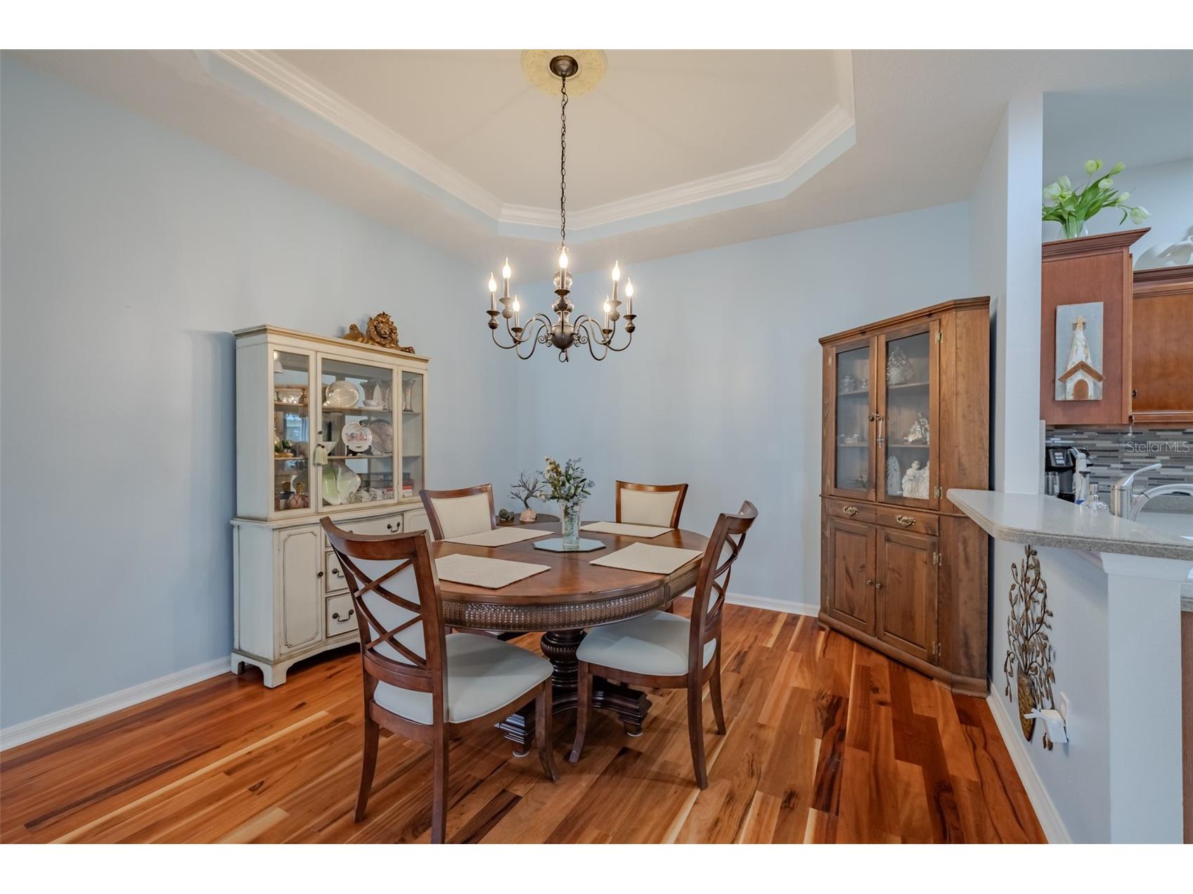 1122 Georgia Trace Avenue Valrico FL 33596 TB8464456 image13