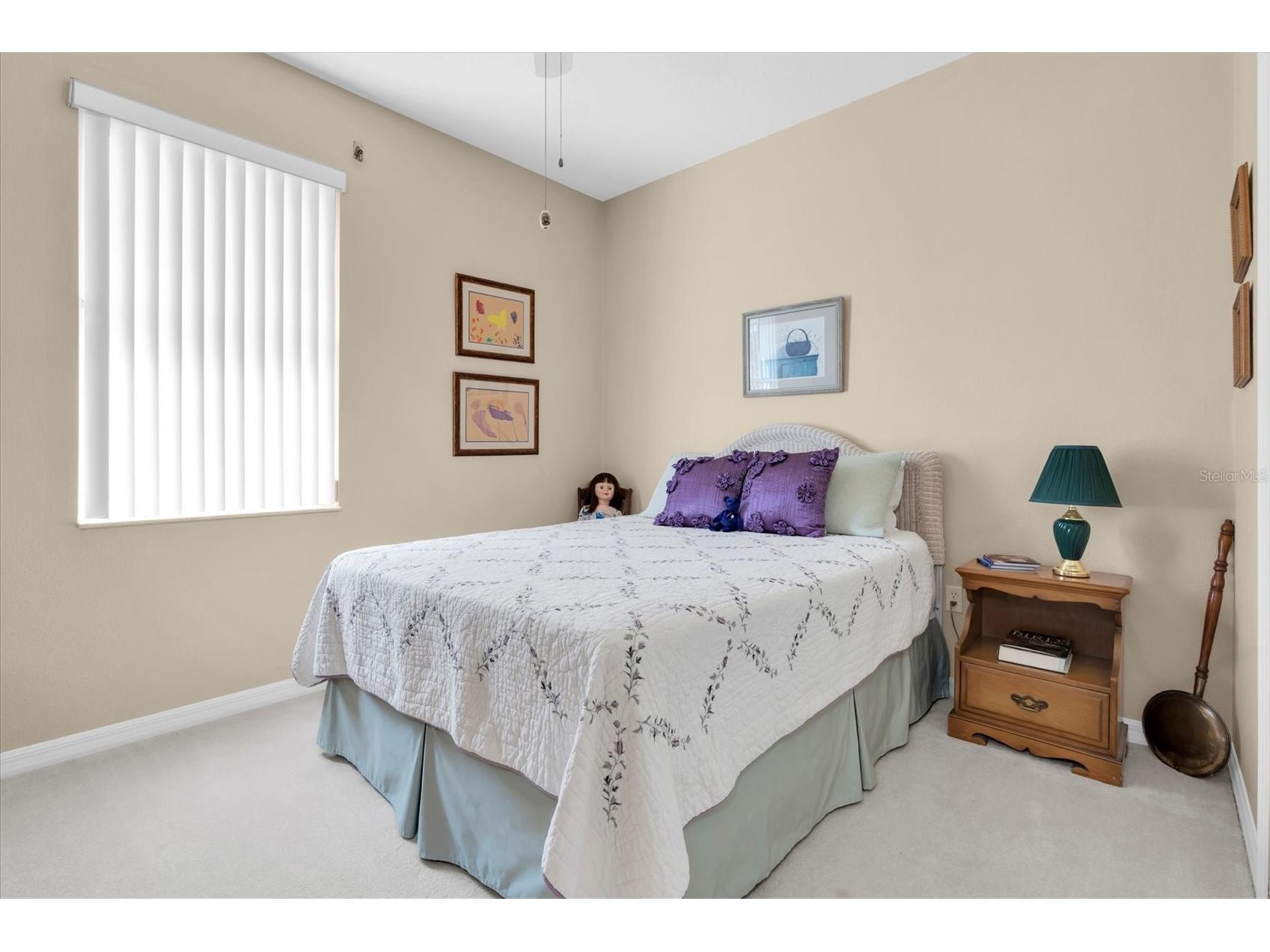 1122 Maravista Drive Trinity FL 34655 W7883733 image17