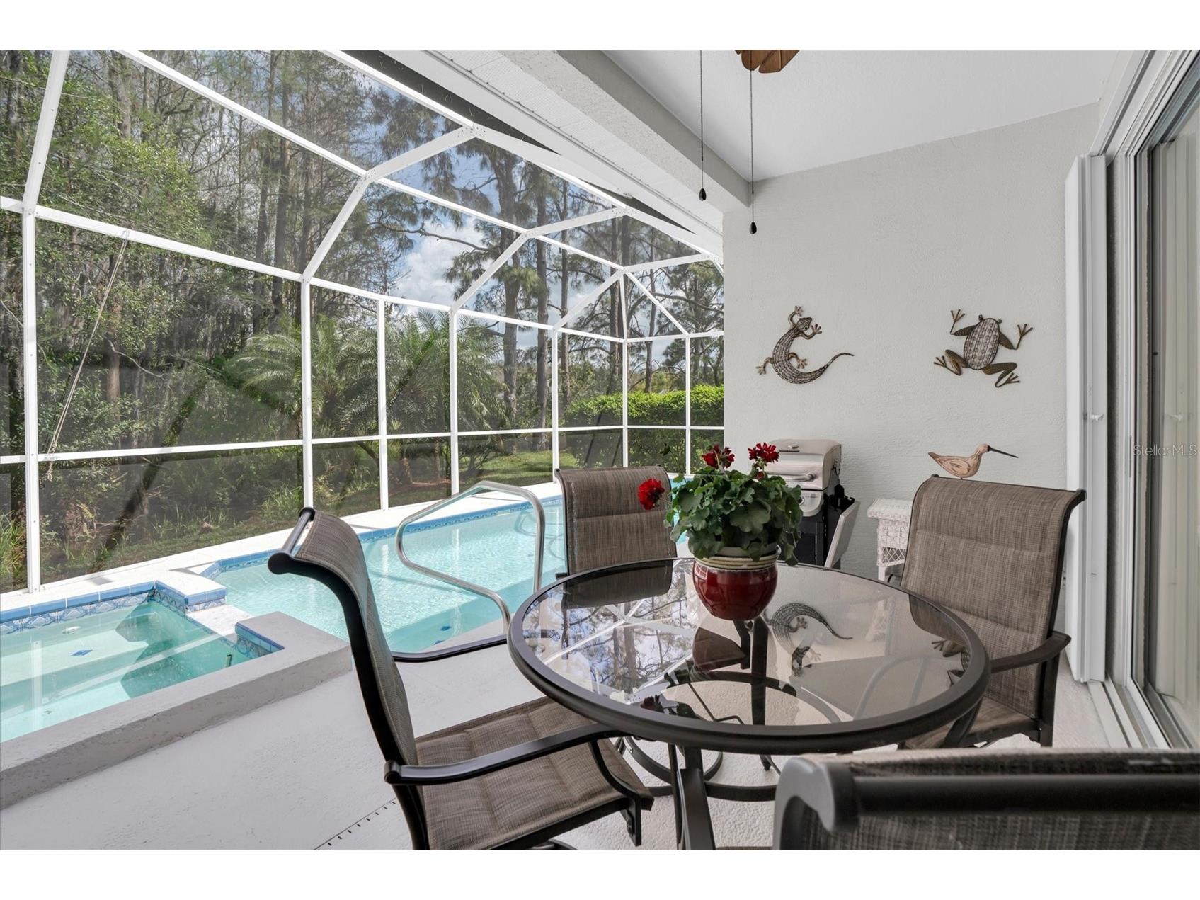 1122 Maravista Drive Trinity FL 34655 W7883733 image24