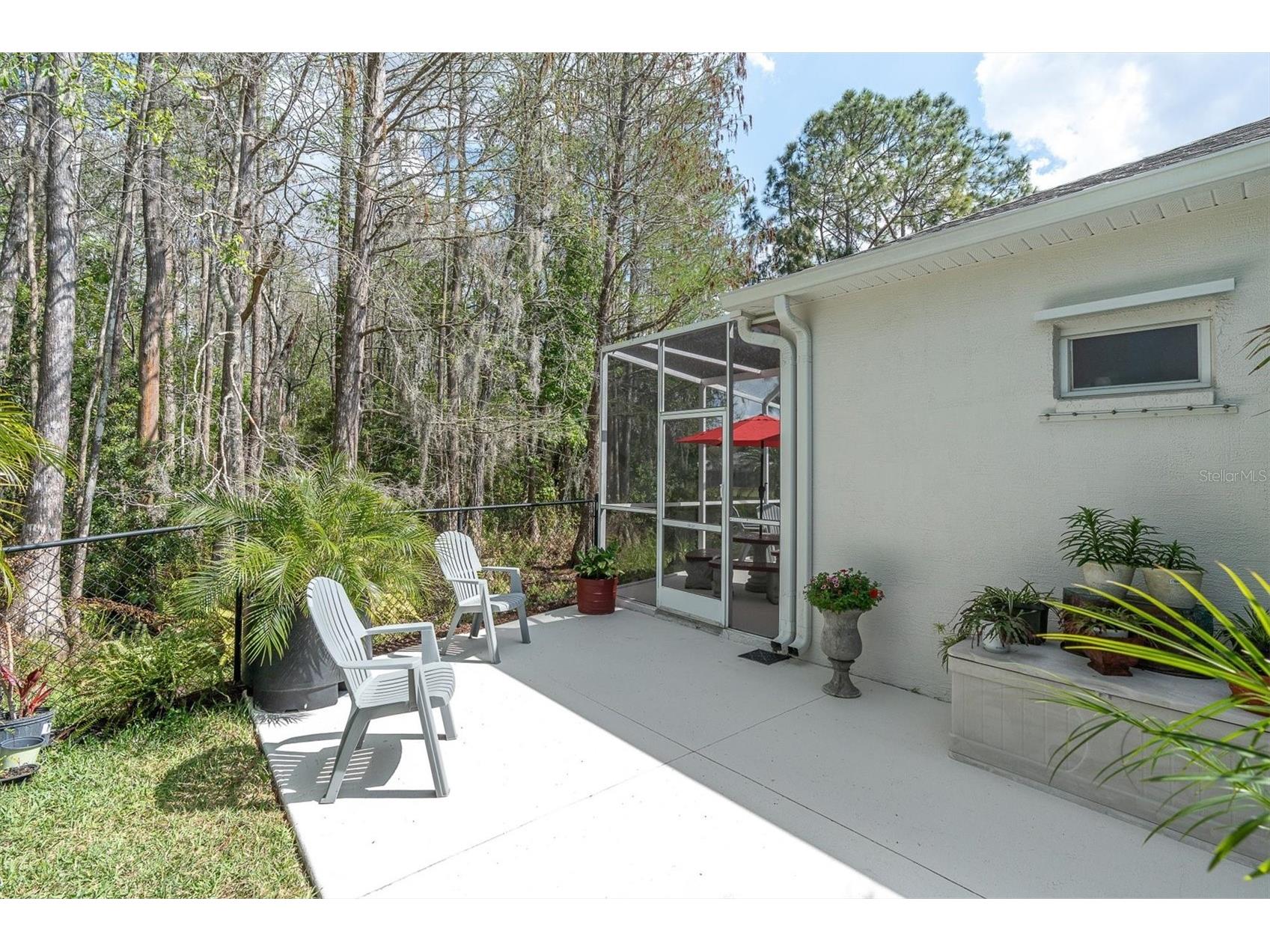 1122 Maravista Drive Trinity FL 34655 W7883733 image28