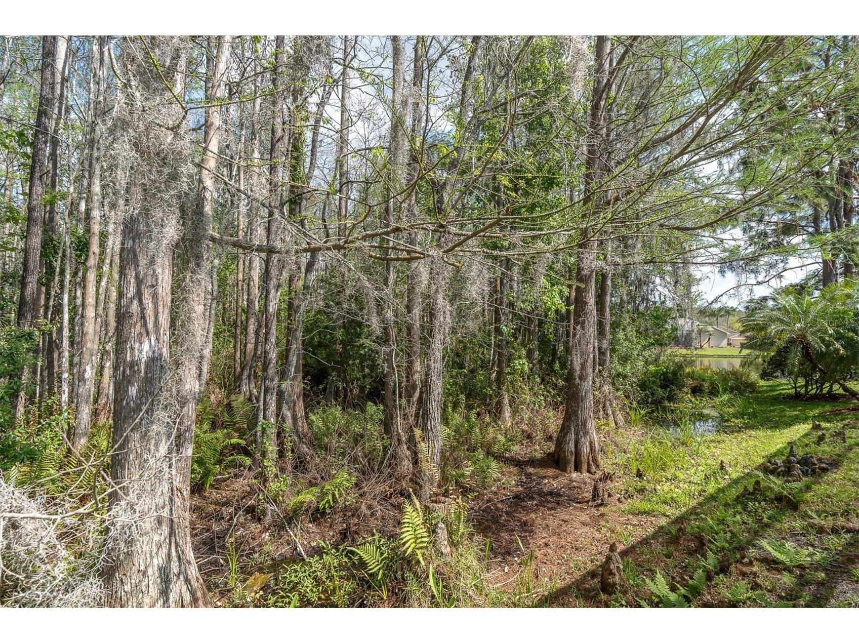 1122 Maravista Drive Trinity FL 34655 W7883733 image29