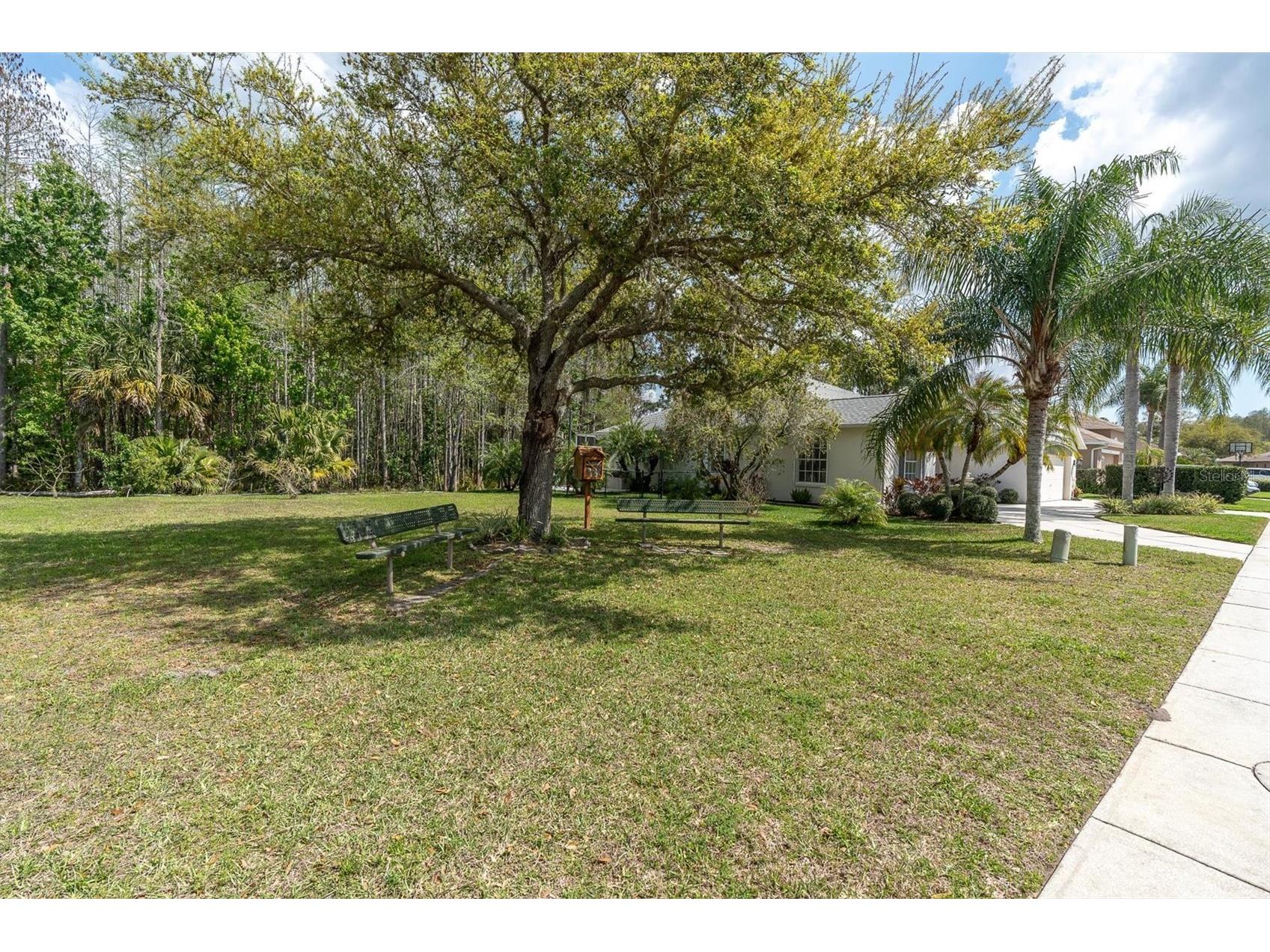 1122 Maravista Drive Trinity FL 34655 W7883733 image30