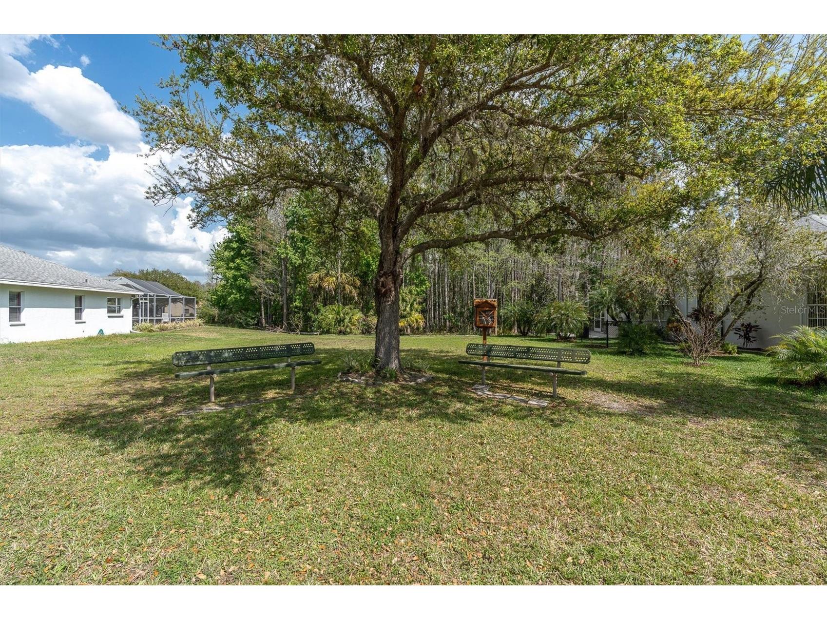 1122 Maravista Drive Trinity FL 34655 W7883733 image31