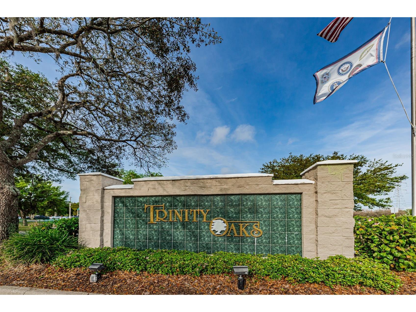 1122 Maravista Drive Trinity FL 34655 W7883733 image38