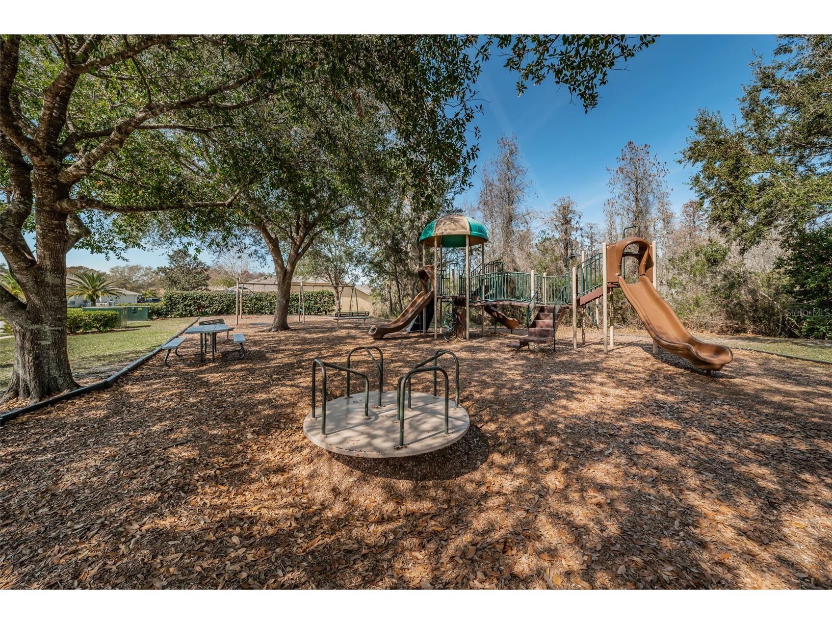 1122 Maravista Drive Trinity FL 34655 W7883733 image40