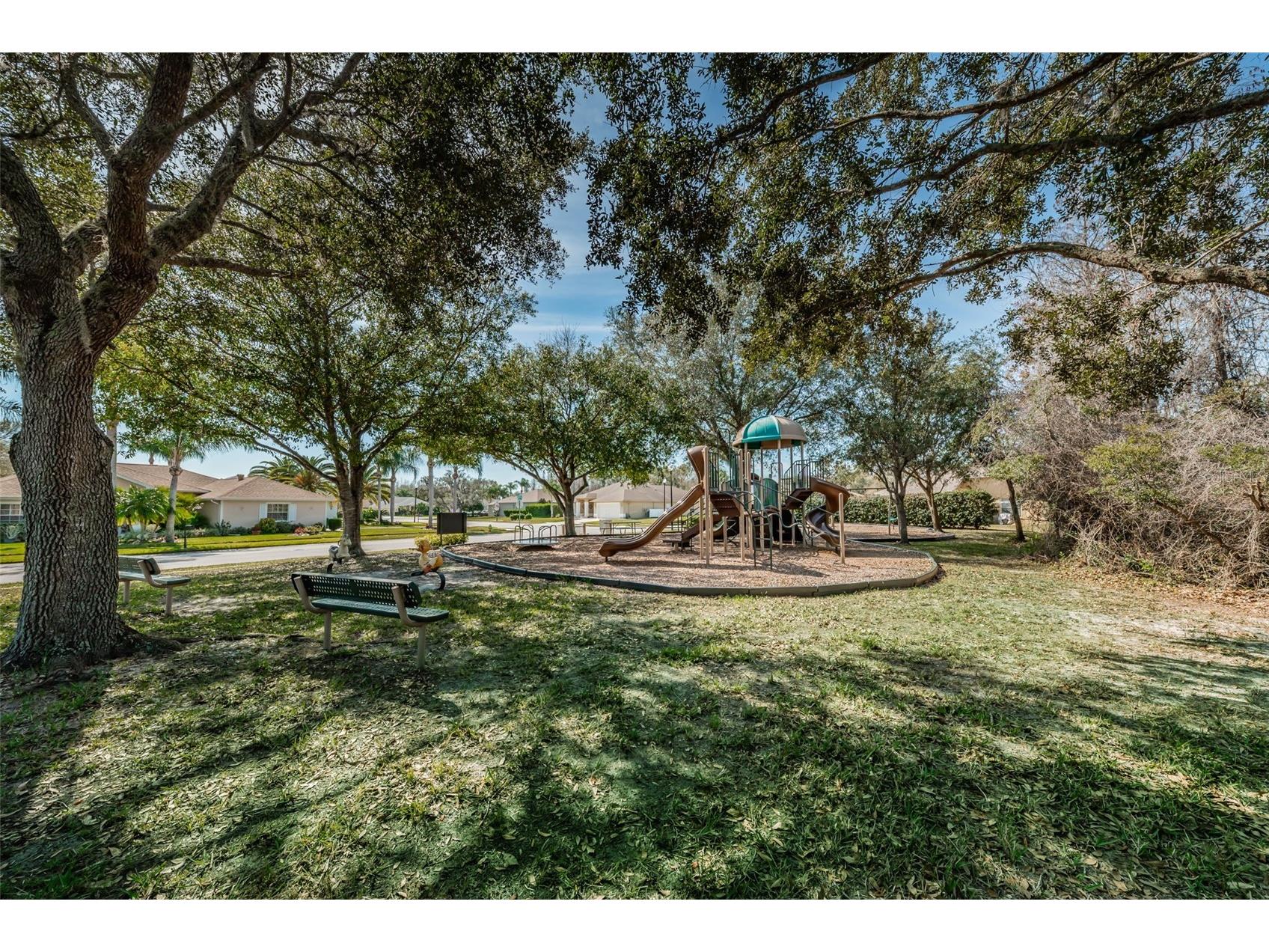 1122 Maravista Drive Trinity FL 34655 W7883733 image44