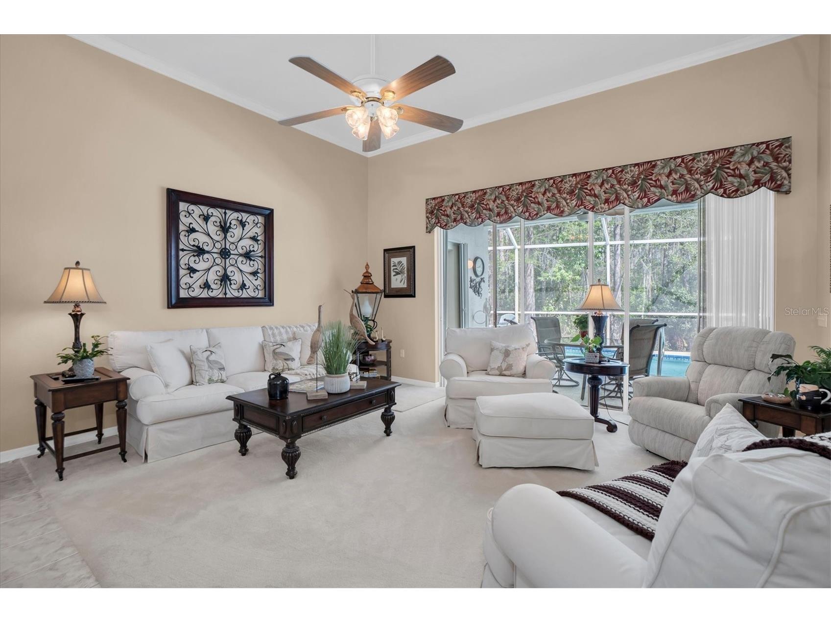 1122 Maravista Drive Trinity FL 34655 W7883733 image7