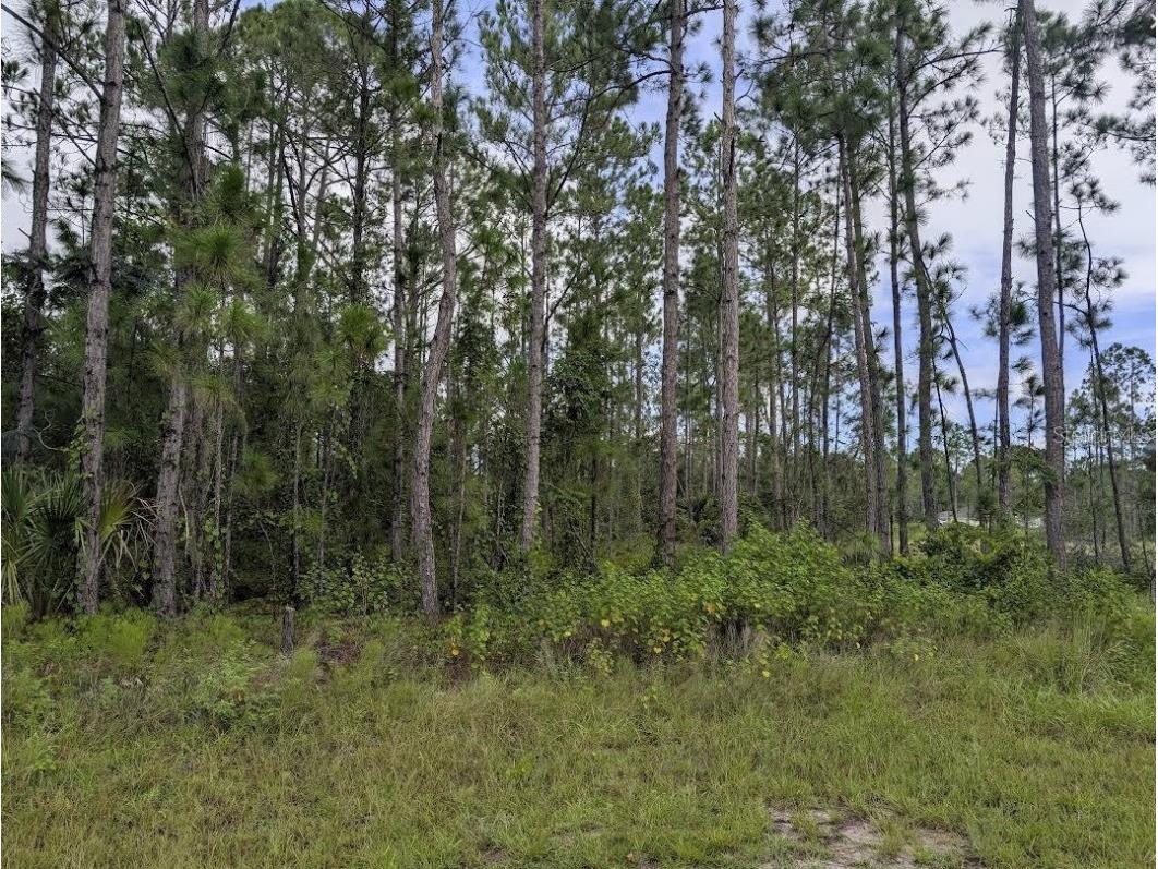 1122 Poinciana Drive Indian Lake Estates FL 33855 - LAKE WALK-IN-WATER P4939007 image1