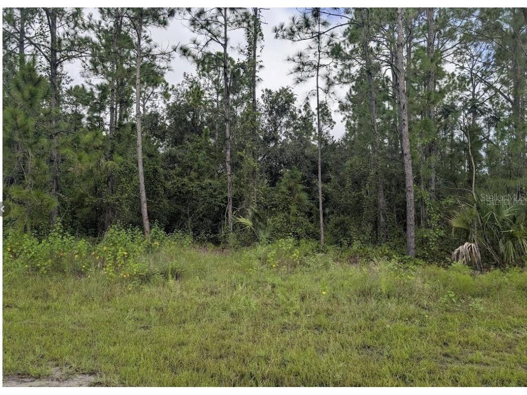 1122 Poinciana Drive Indian Lake Estates FL 33855 - LAKE WALK-IN-WATER P4939007 image2