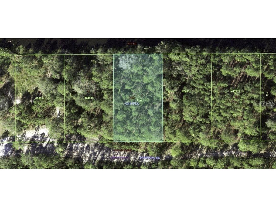 1122 Poinciana Drive Indian Lake Estates FL 33855 - LAKE WALK-IN-WATER P4939007 image3