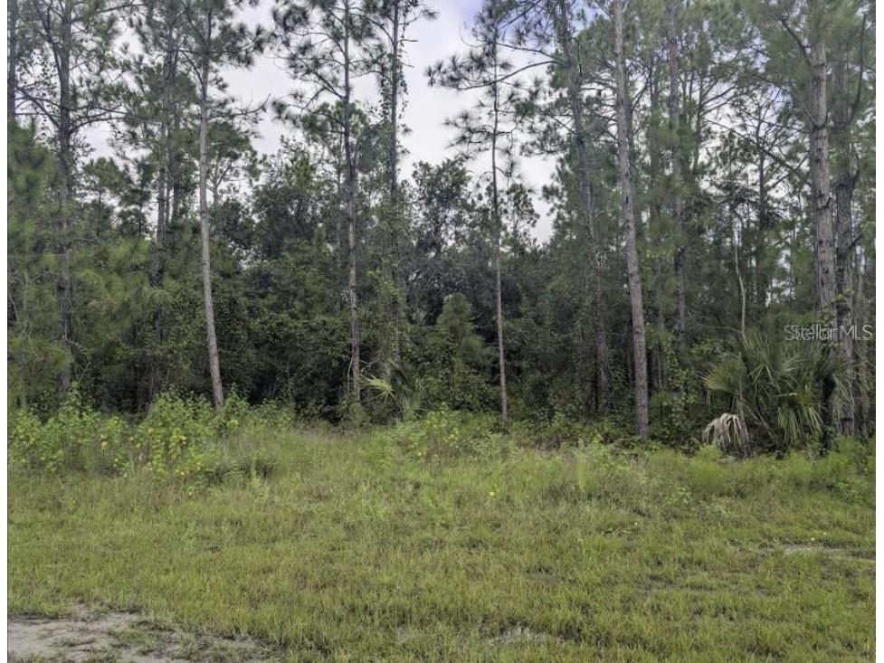 1122 Poinciana Drive Indian Lake Estates FL 33855 - LAKE WALK-IN-WATER P4939007 image5