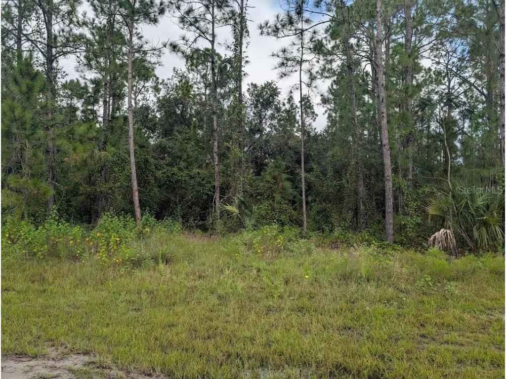 1122 Poinciana Drive Indian Lake Estates FL 33855 - LAKE WALK-IN-WATER TB8421920 image2