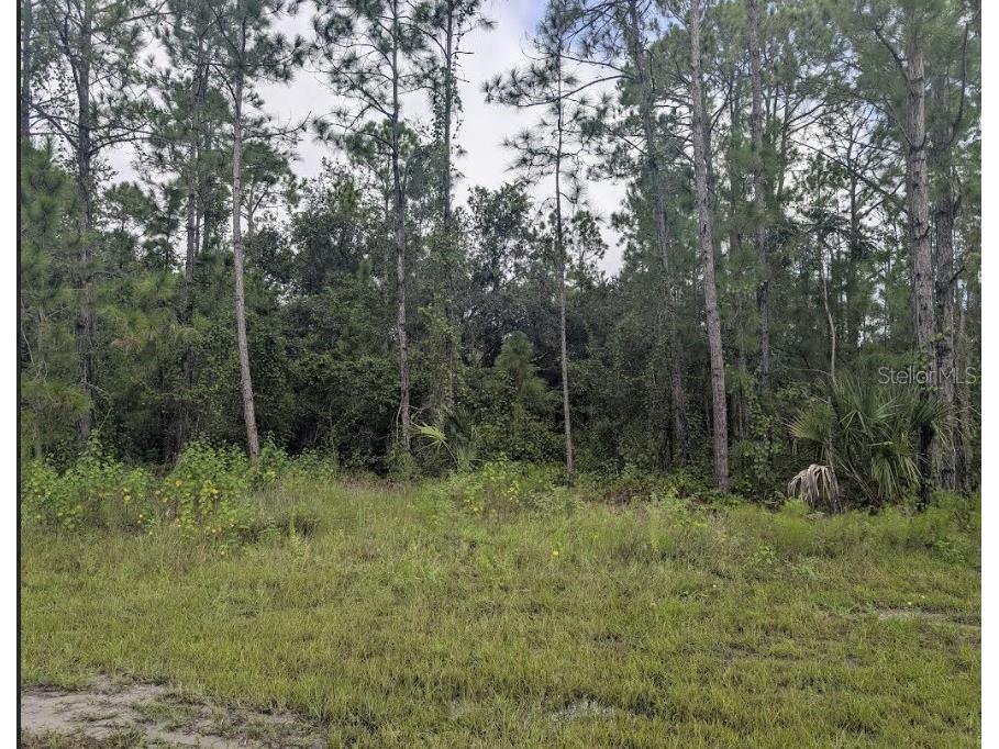 1122 Poinciana Drive Indian Lake Estates FL 33855 - LAKE WALK-IN-WATER TB8421920 image5