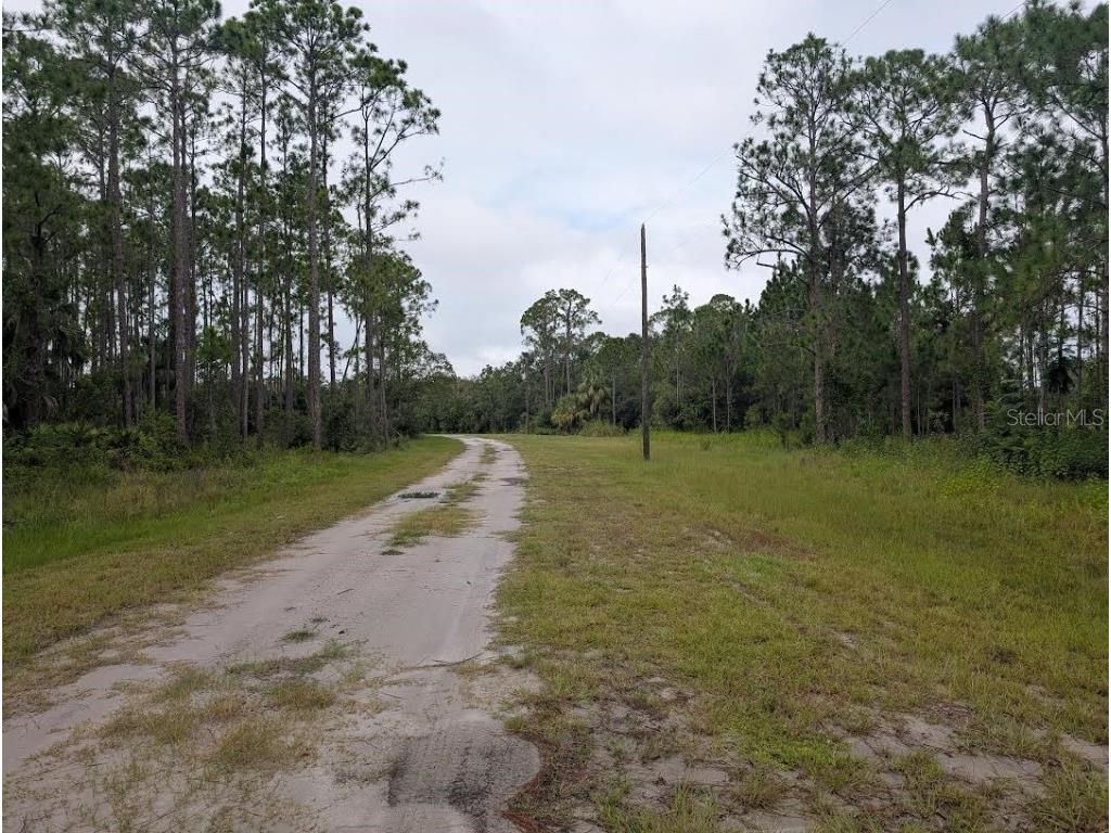 1122 Poinciana Drive Indian Lake Estates FL 33855 - LAKE WALK-IN-WATER TB8421920 image6