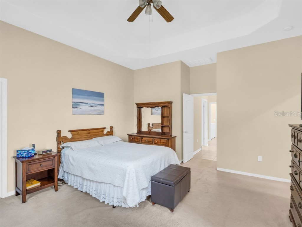 1122 S Pointe Alexis Drive Tarpon Springs FL 34689 TB8438407 image18