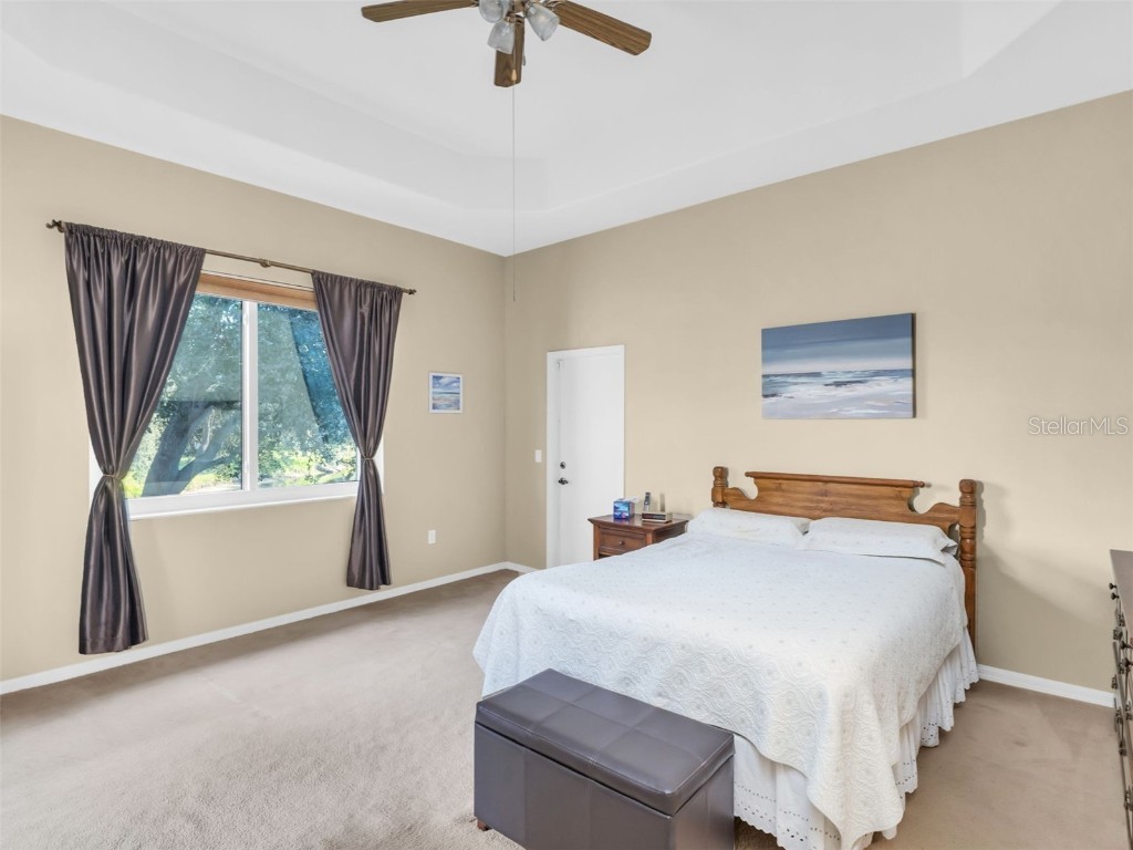 1122 S Pointe Alexis Drive Tarpon Springs FL 34689 TB8438407 image19