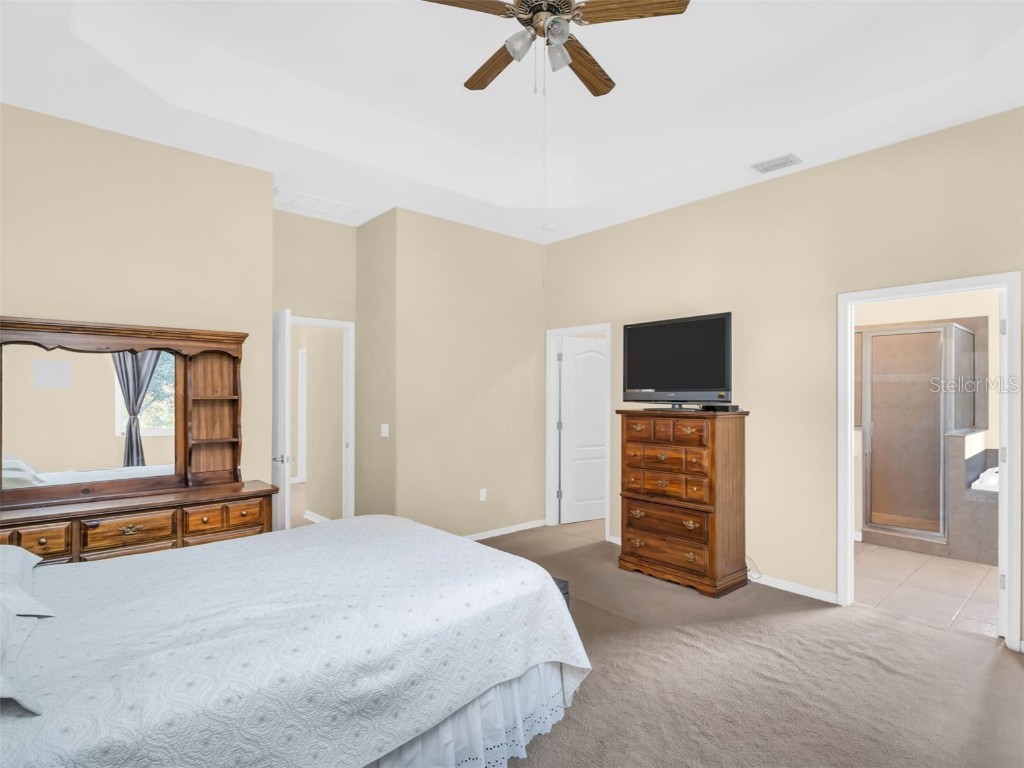 1122 S Pointe Alexis Drive Tarpon Springs FL 34689 TB8438407 image20