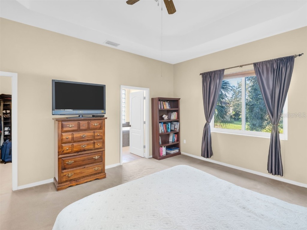 1122 S Pointe Alexis Drive Tarpon Springs FL 34689 TB8438407 image25