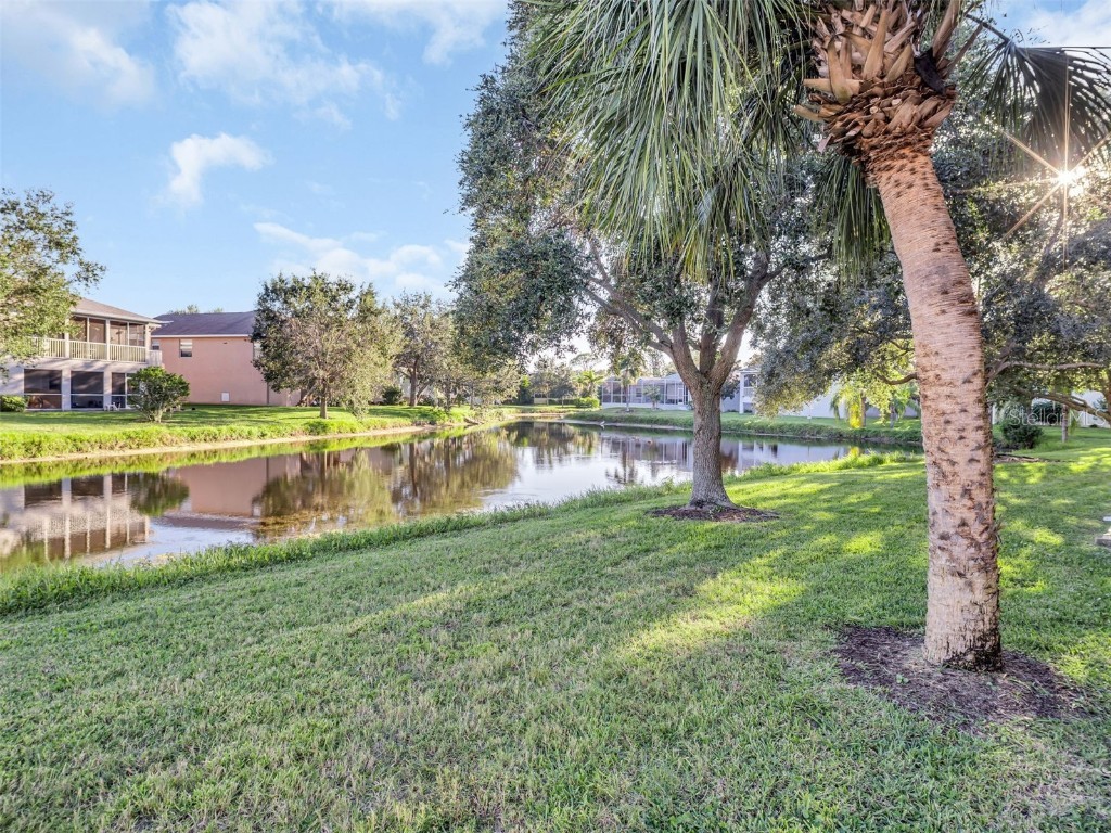 1122 S Pointe Alexis Drive Tarpon Springs FL 34689 TB8438407 image36