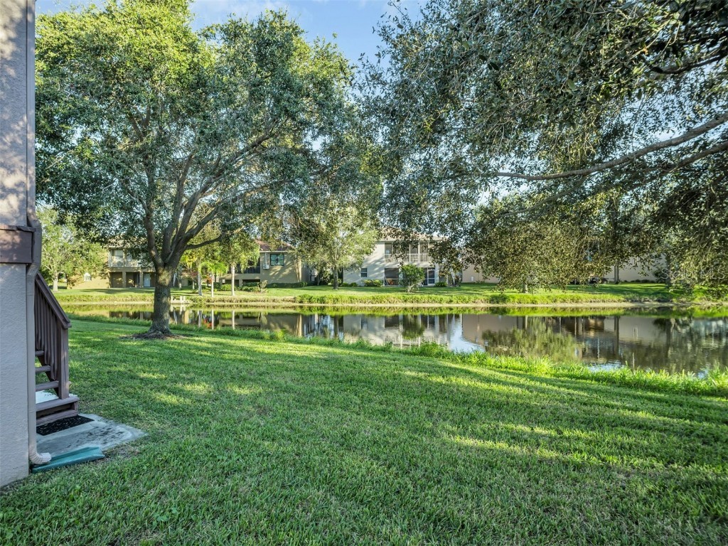 1122 S Pointe Alexis Drive Tarpon Springs FL 34689 TB8438407 image40