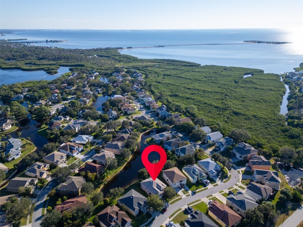 1122 S Pointe Alexis Drive Tarpon Springs FL 34689 TB8438407 image46