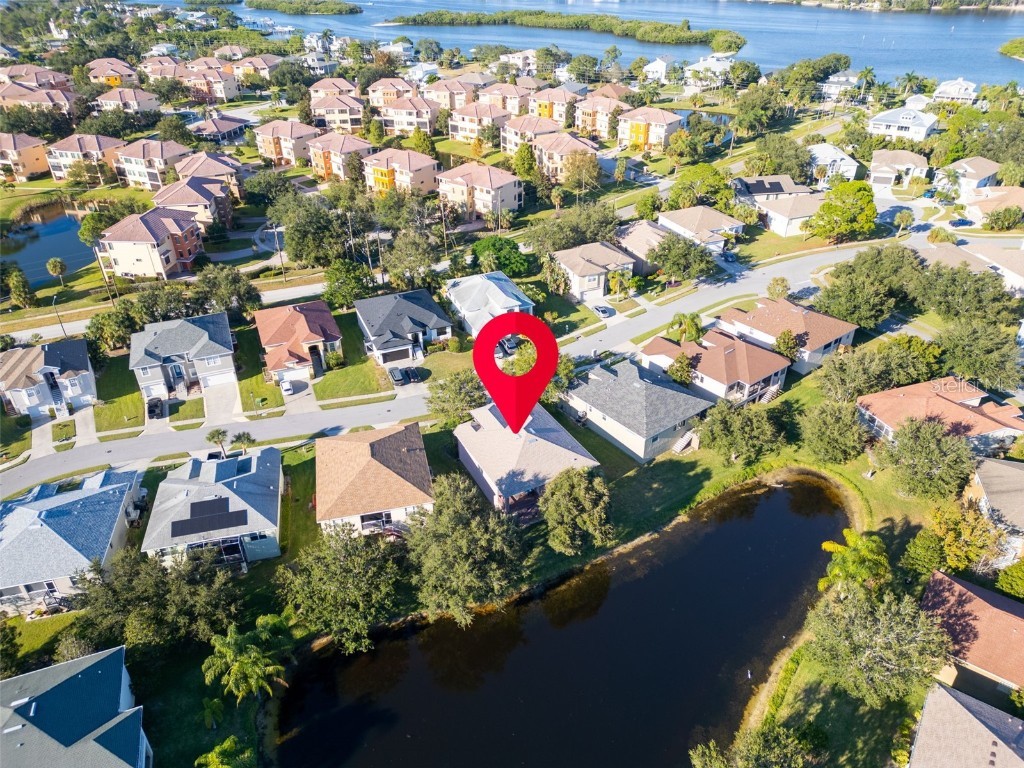 1122 S Pointe Alexis Drive Tarpon Springs FL 34689 TB8438407 image48