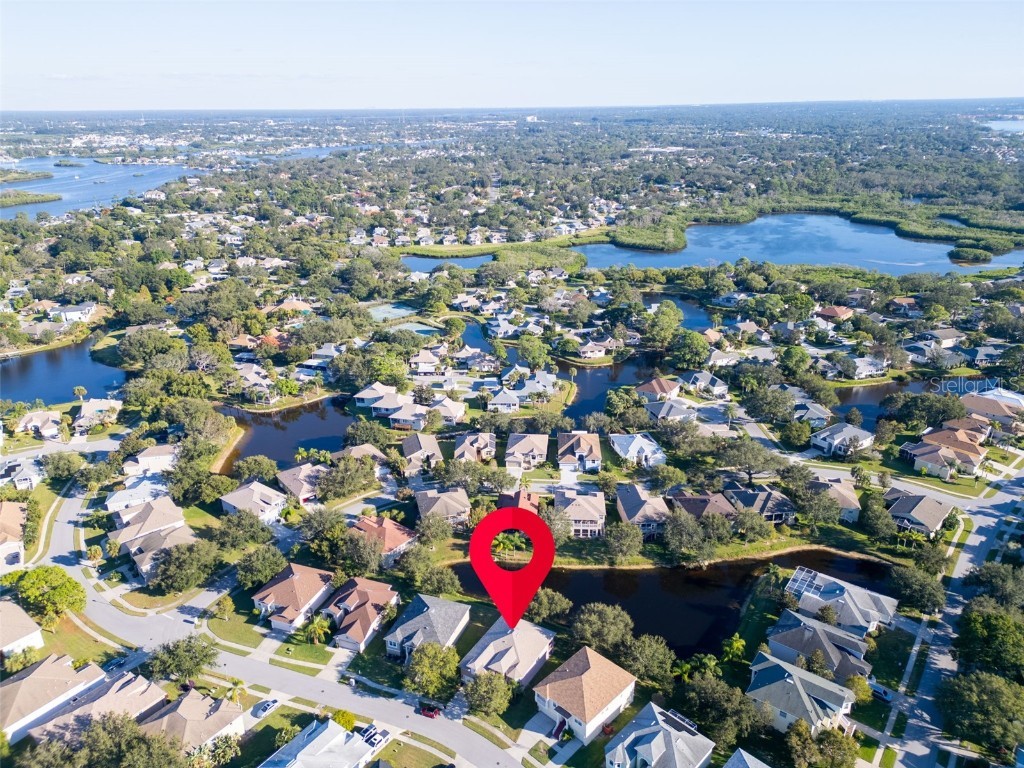 1122 S Pointe Alexis Drive Tarpon Springs FL 34689 TB8438407 image49